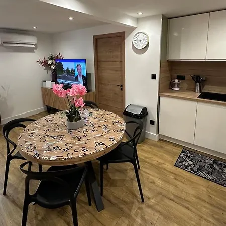 Le Briand 4etoiles Thermal Cosy Avec Terrasse Wifi Lejlighed