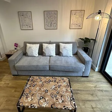 アパート Le Briand 4etoiles Thermal Cosy Avec Terrasse Wifi ナンシー