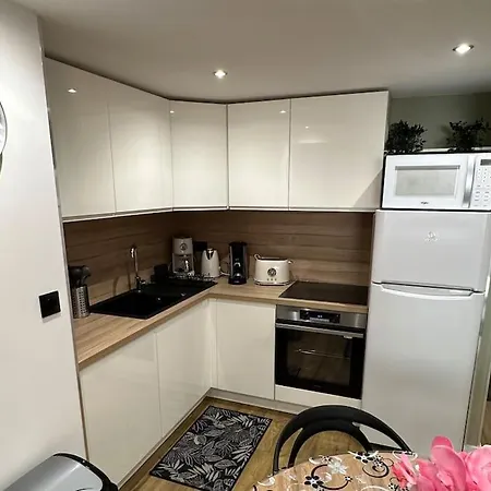 Le Briand 4etoiles Thermal Cosy Avec Terrasse Wifi ナンシー