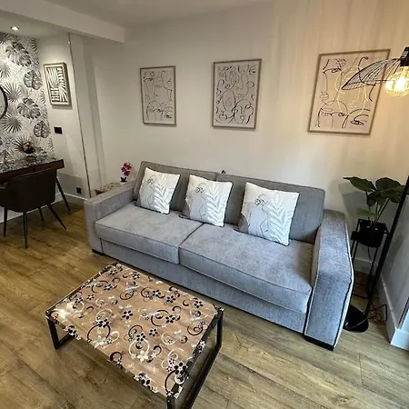 アパート Le Briand 4etoiles Thermal Cosy Avec Terrasse Wifi ナンシー