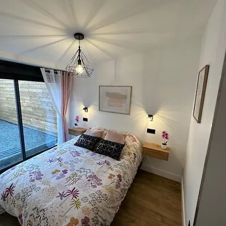 Le Briand 4etoiles Thermal Cosy Avec Terrasse Wifi * ナンシー