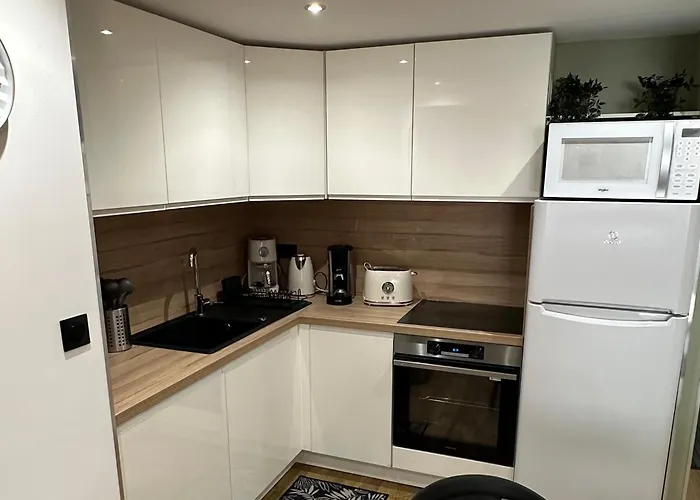 Le Briand 4etoiles Thermal Cosy Avec Terrasse Wifi Apartament *