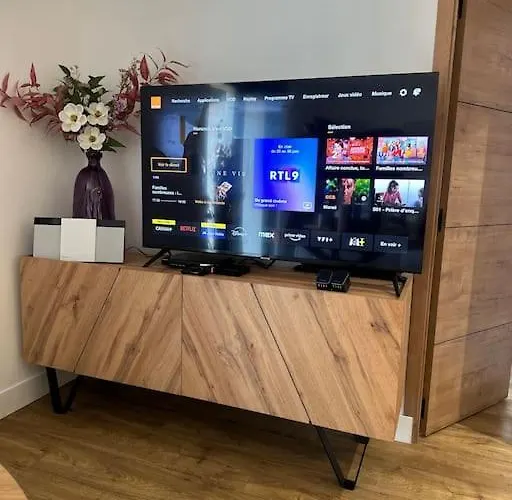 Apartament Le Briand 4etoiles Thermal Cosy Avec Terrasse Wifi Nancy