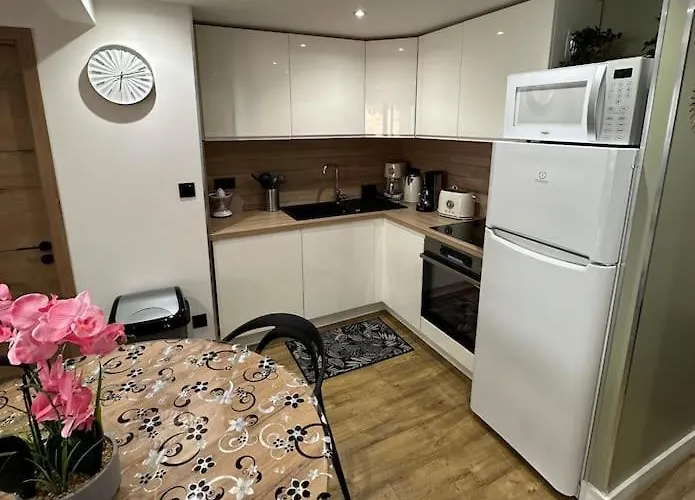 Apartament Le Briand 4etoiles Thermal Cosy Avec Terrasse Wifi Nancy