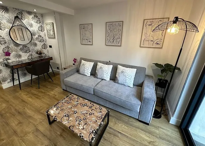 Apartament Le Briand 4etoiles Thermal Cosy Avec Terrasse Wifi Nancy