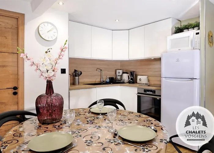 Apartamento Le Briand 4étoiles Thermal Cosy Avec Terrasse Wifi Nancy